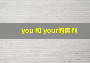 you 和 your的区别